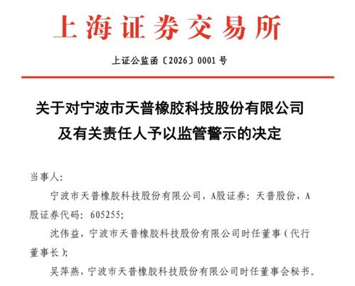 AI軟件開(kāi)發(fā)公司突遭證監(jiān)會(huì)立案調(diào)查，行業(yè)監(jiān)管風(fēng)暴或?qū)㈤_(kāi)啟